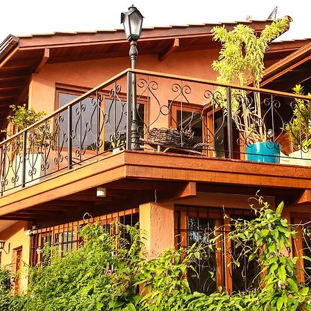 Mama Africa Hostel Florianopolis Exterior foto